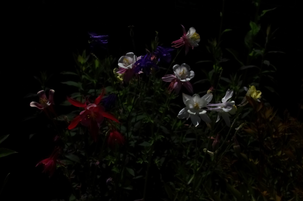 2012 05 20 3745